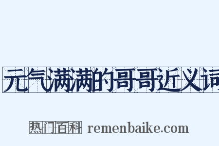 元气满满的哥哥近义词是什么意思的图片
